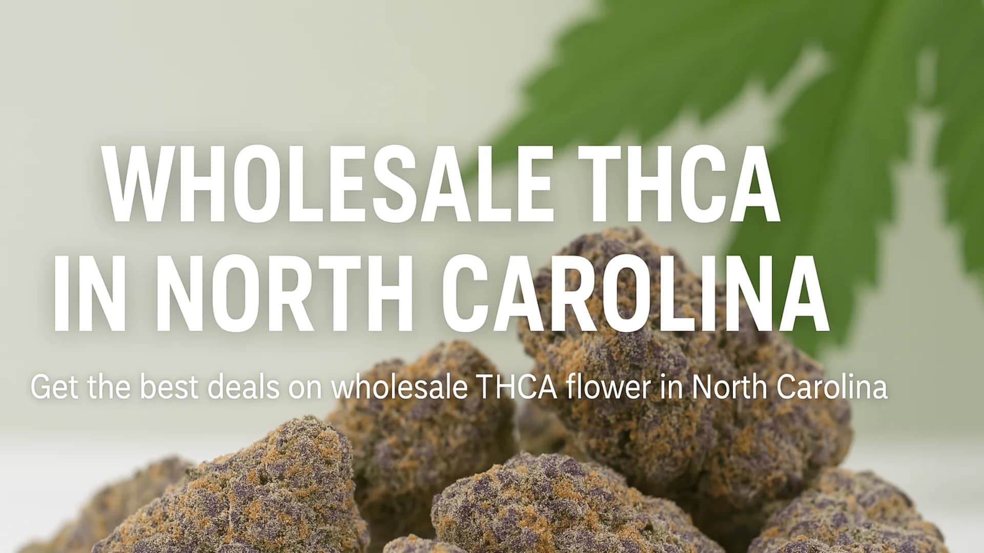 Buy Wholesale THCA in North Carolina