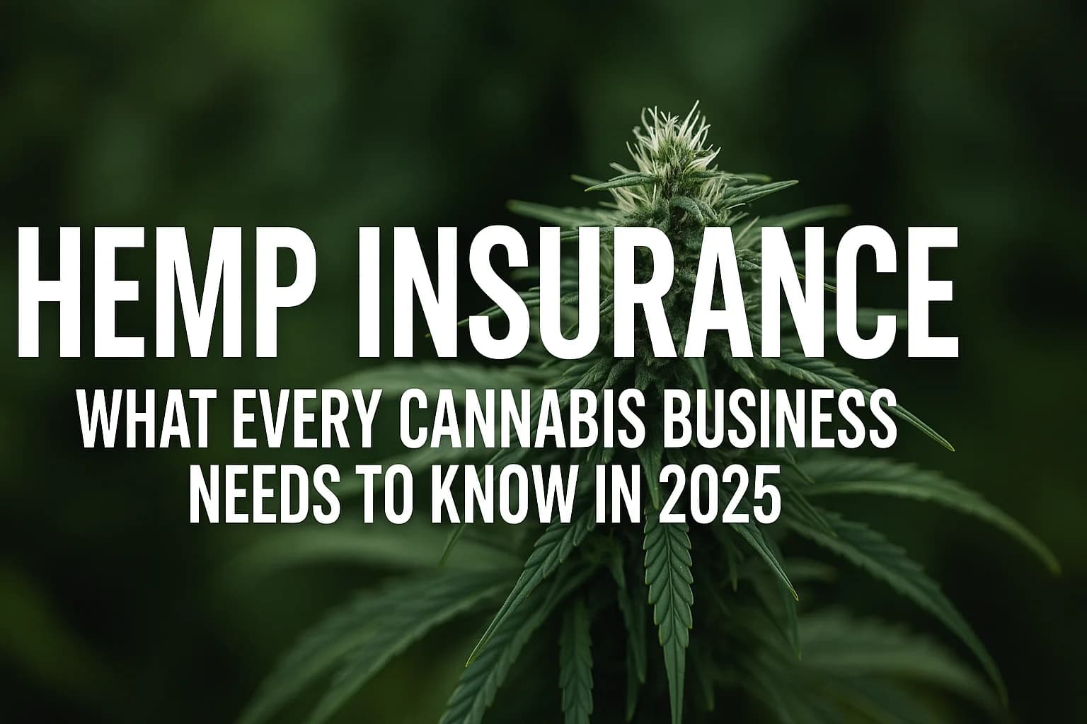 Navigating Hemp Insurance - Pro Industry Advice
