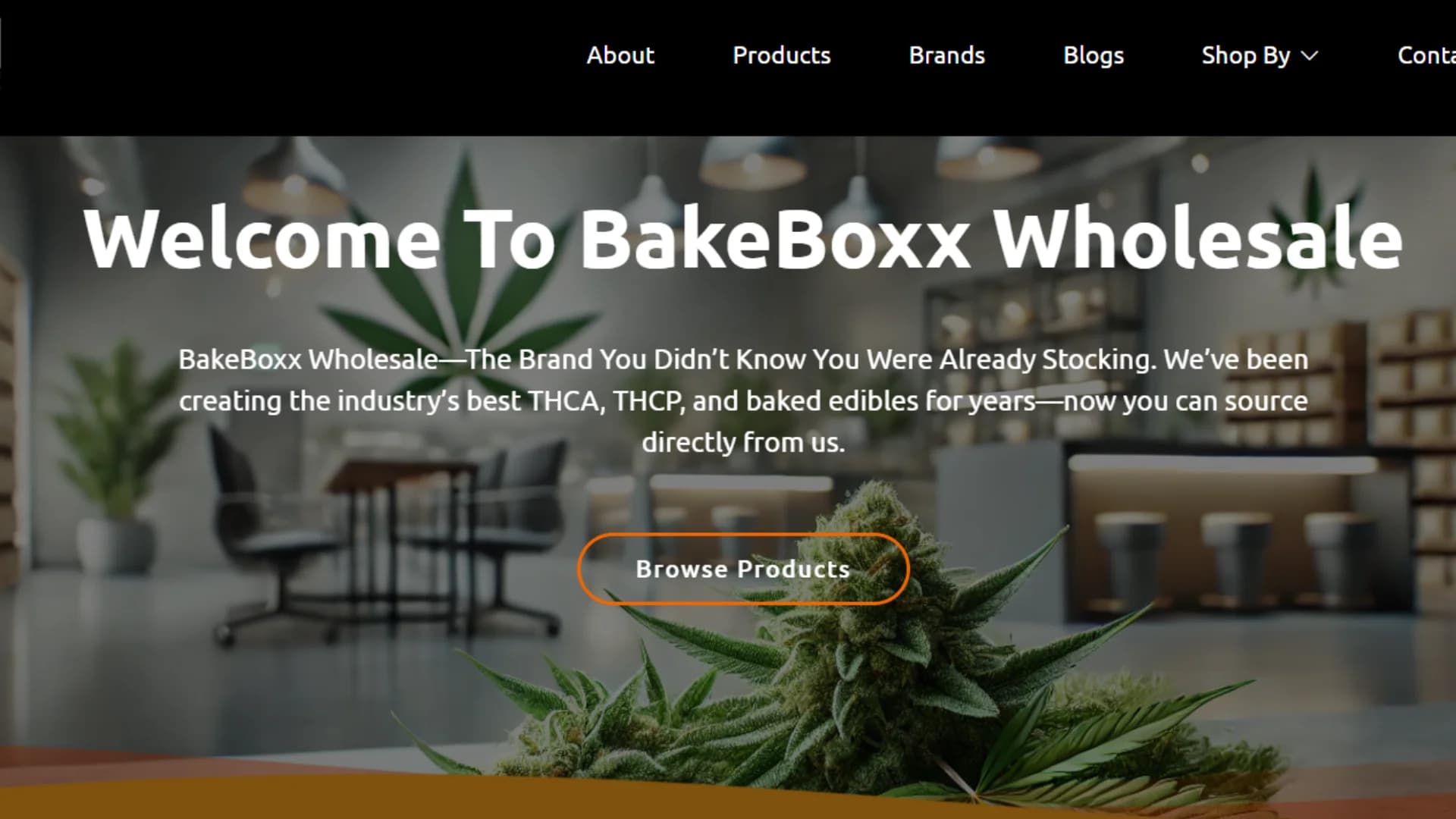 Why BakeBoxx is Just Now Going Online in 2025