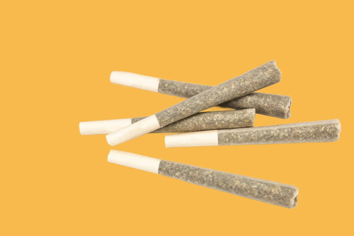 Why Retailers Are Turning to THCA Pre-Rolls: A Lucrative Wholesale Opportunity in 2025