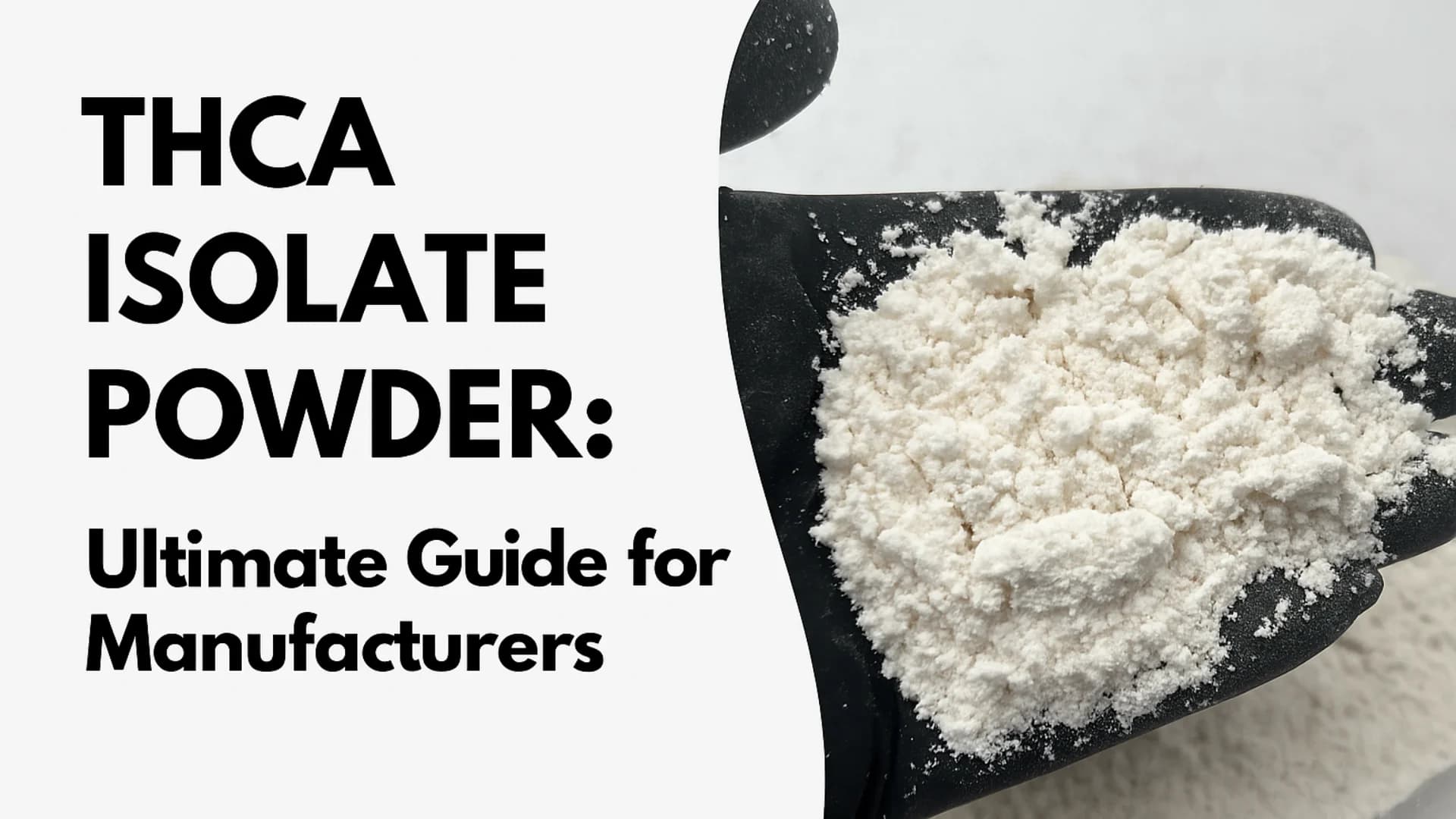 What Is THCA Isolate Powder? Everything Manufacturers Should Know