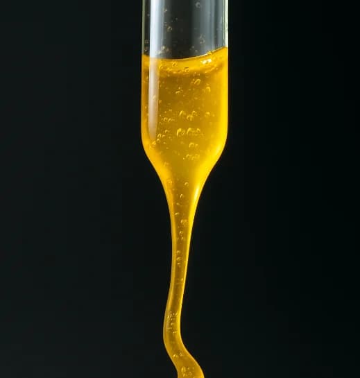 THCA Concentrate Image, showing Delta 9 Live Rosin being held by a spoon