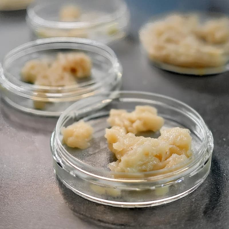 Resources Image, showing a wide variation of Cartidges, from D9-HI, D8-HI, Pixie Pods, Elevated, BakeBoxx and more. Some Delta-9, while other Delta-8