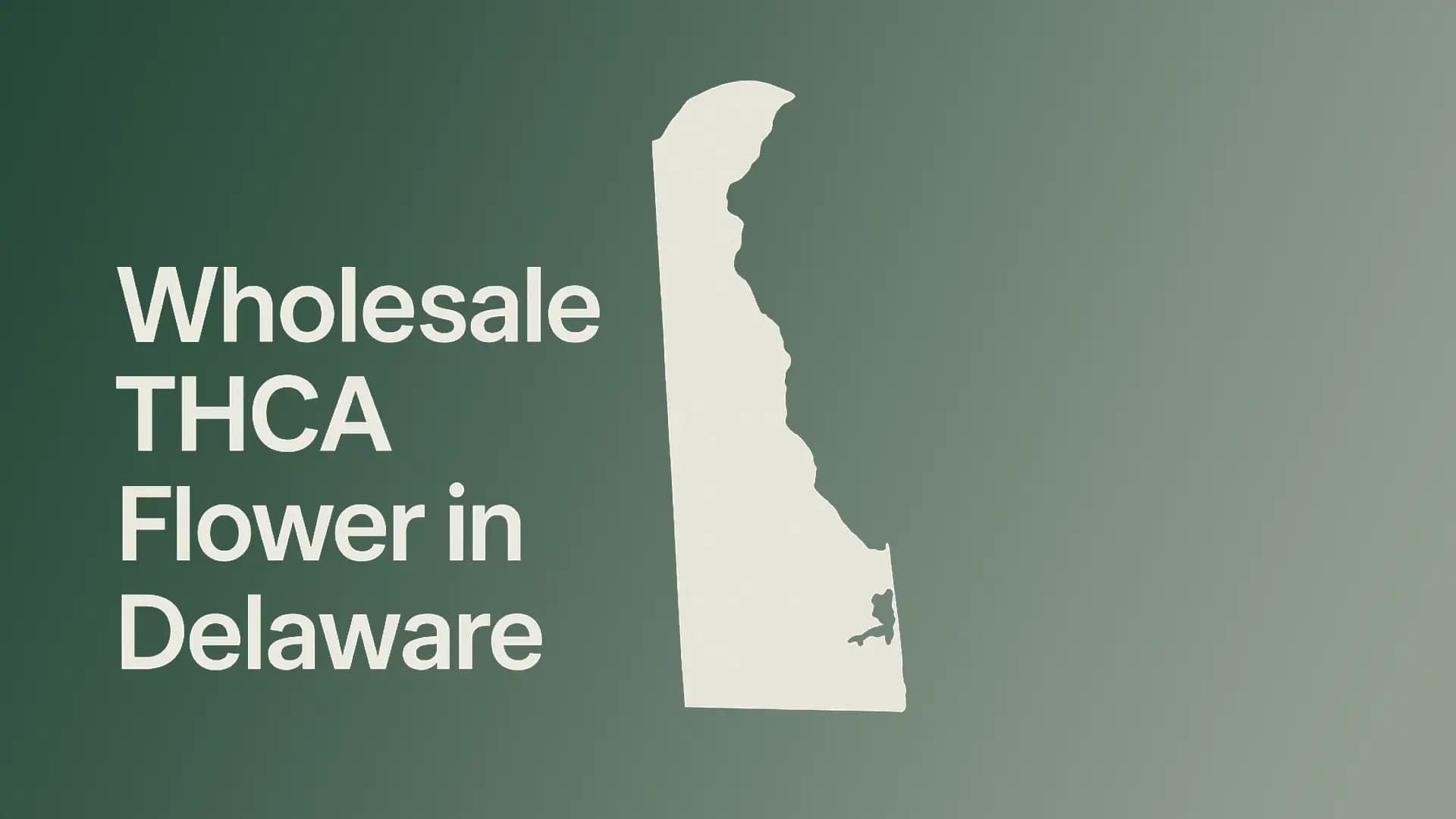 Wholesale THCA Flower in Delaware