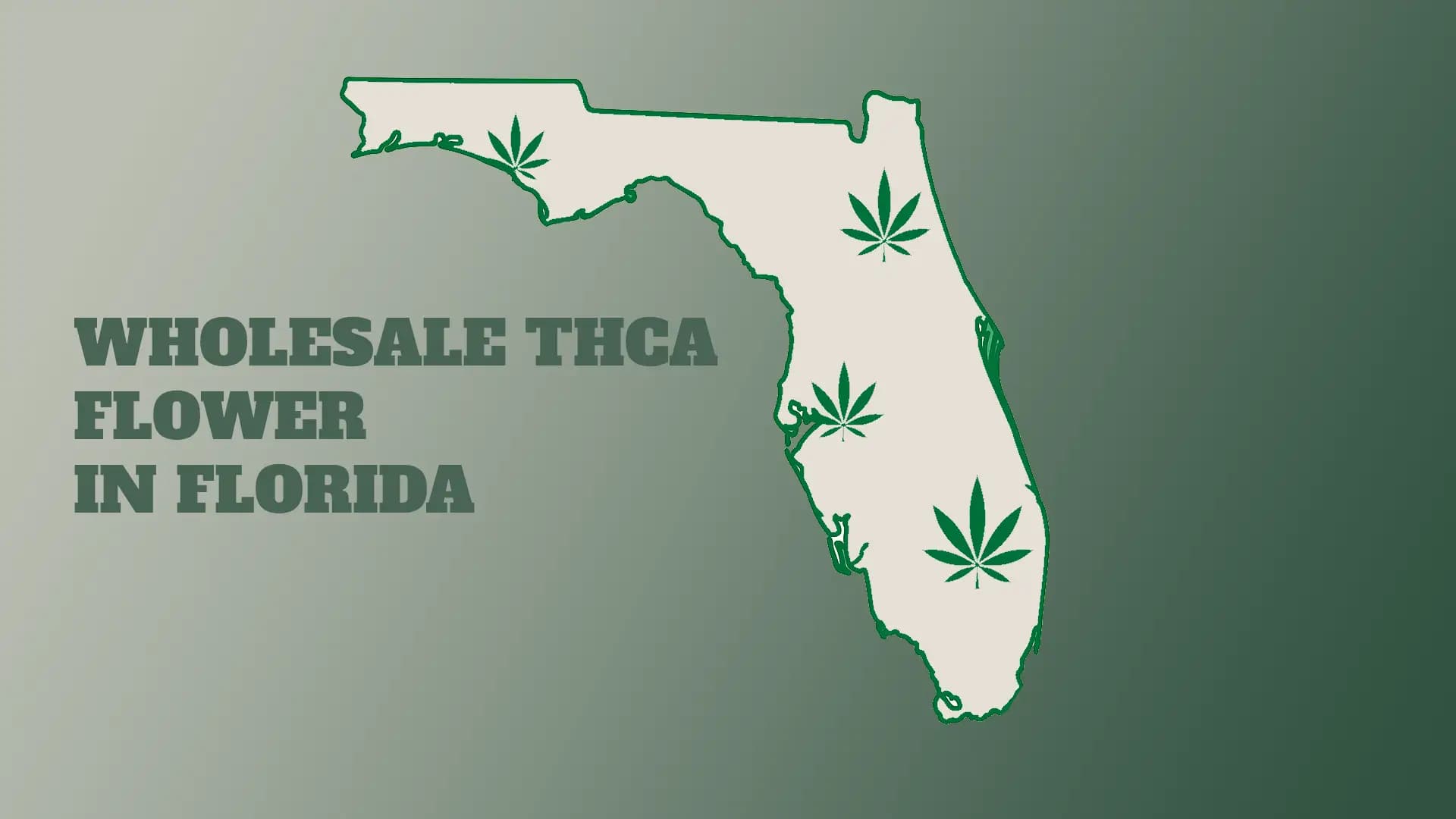 Wholesale THCA Flower in Florida