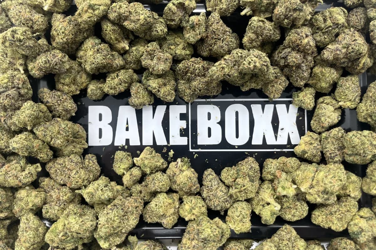 BakeBoxx products showcase