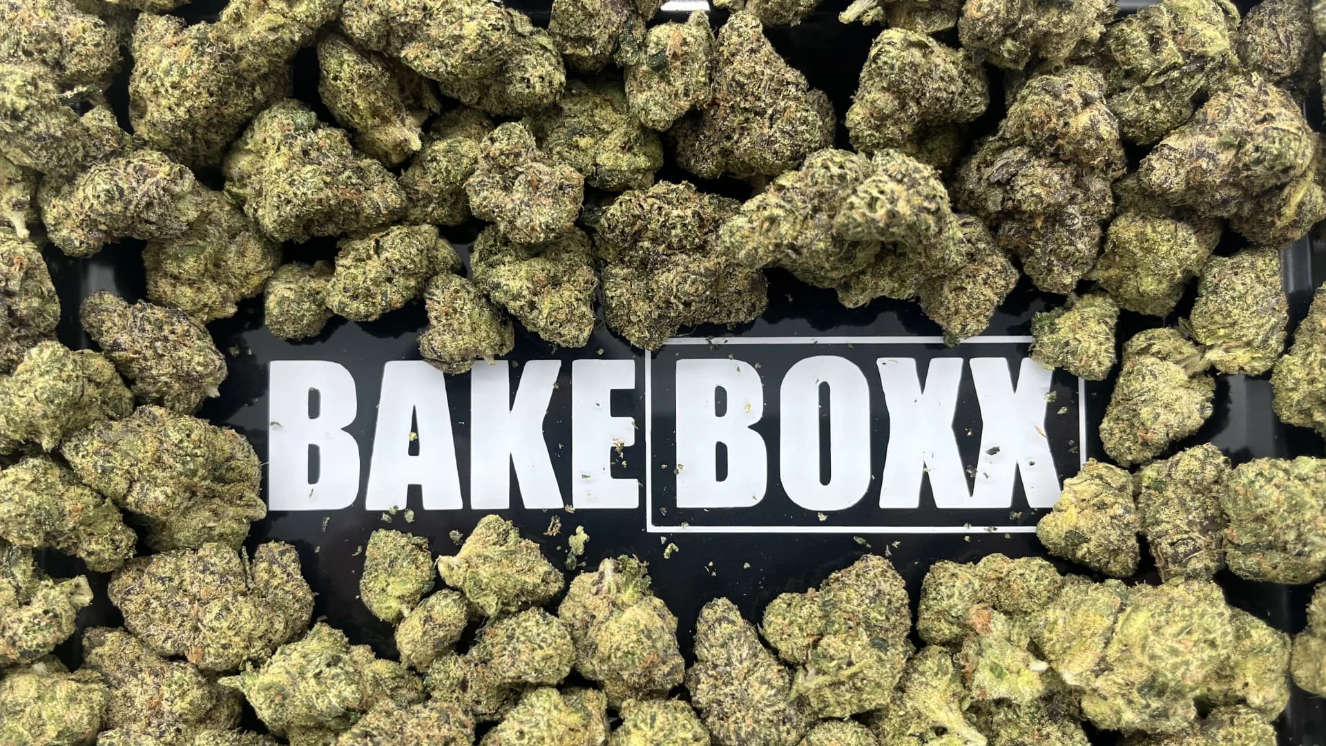 THCP Flower Image, Showing PUSH X The Candy Shop, 25 count jar, with Mac'n Cheese, Black Cherry Soda, and Gobb Stopper Strains