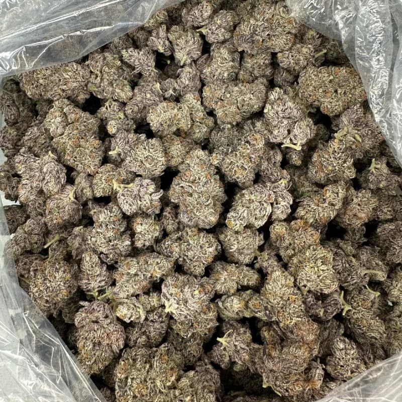 THCA Flower Image, showing high quality thca flower buds in a bag.