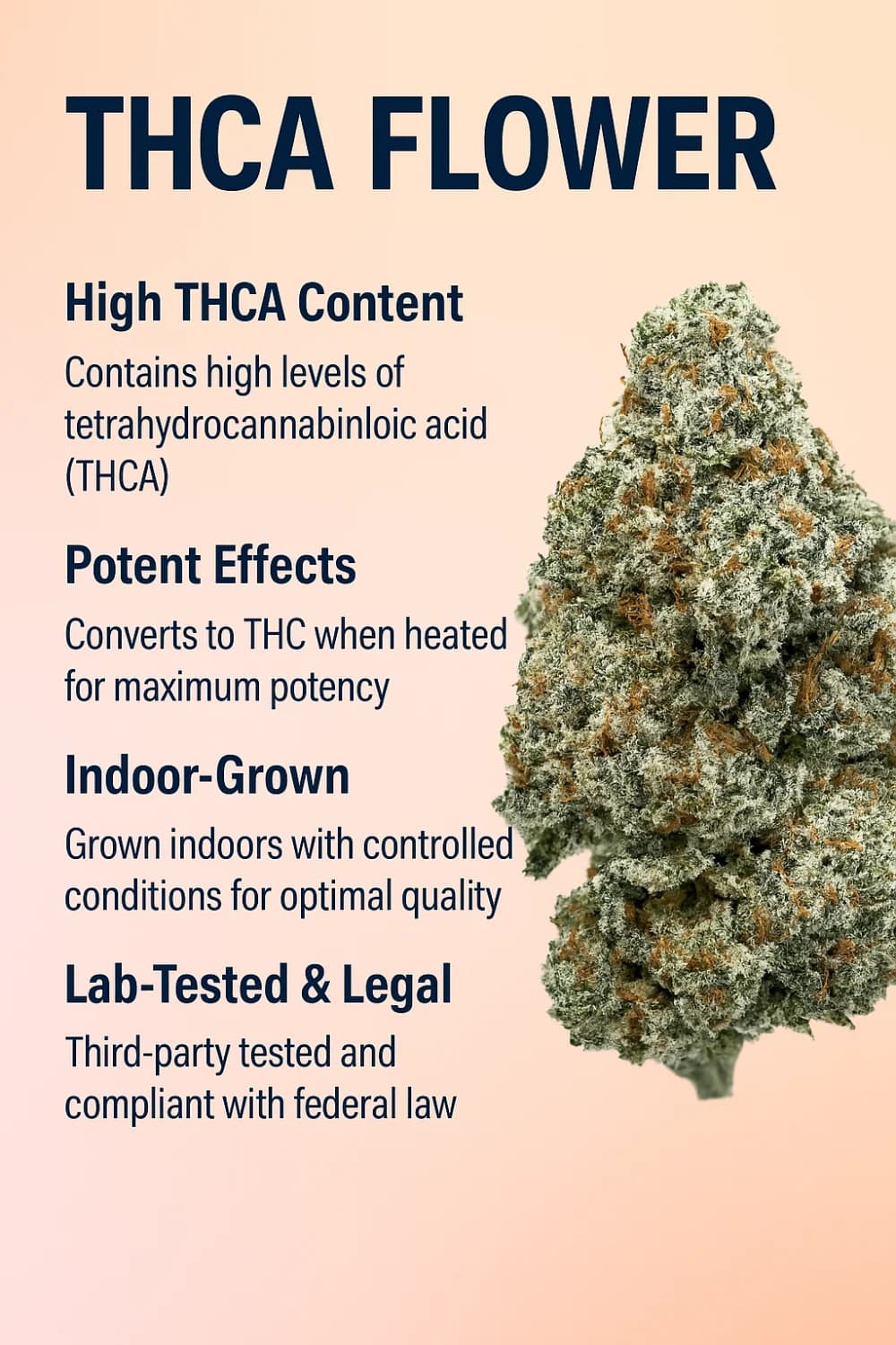 THCA Flower Image, showing THCA brochure, with our High THCA Content, since it contains high THCA, Potent effects, since it converts to THC when heated for maximum potency, grown indoor with controlled conditions for optimal quantity. Lab tested and legal.