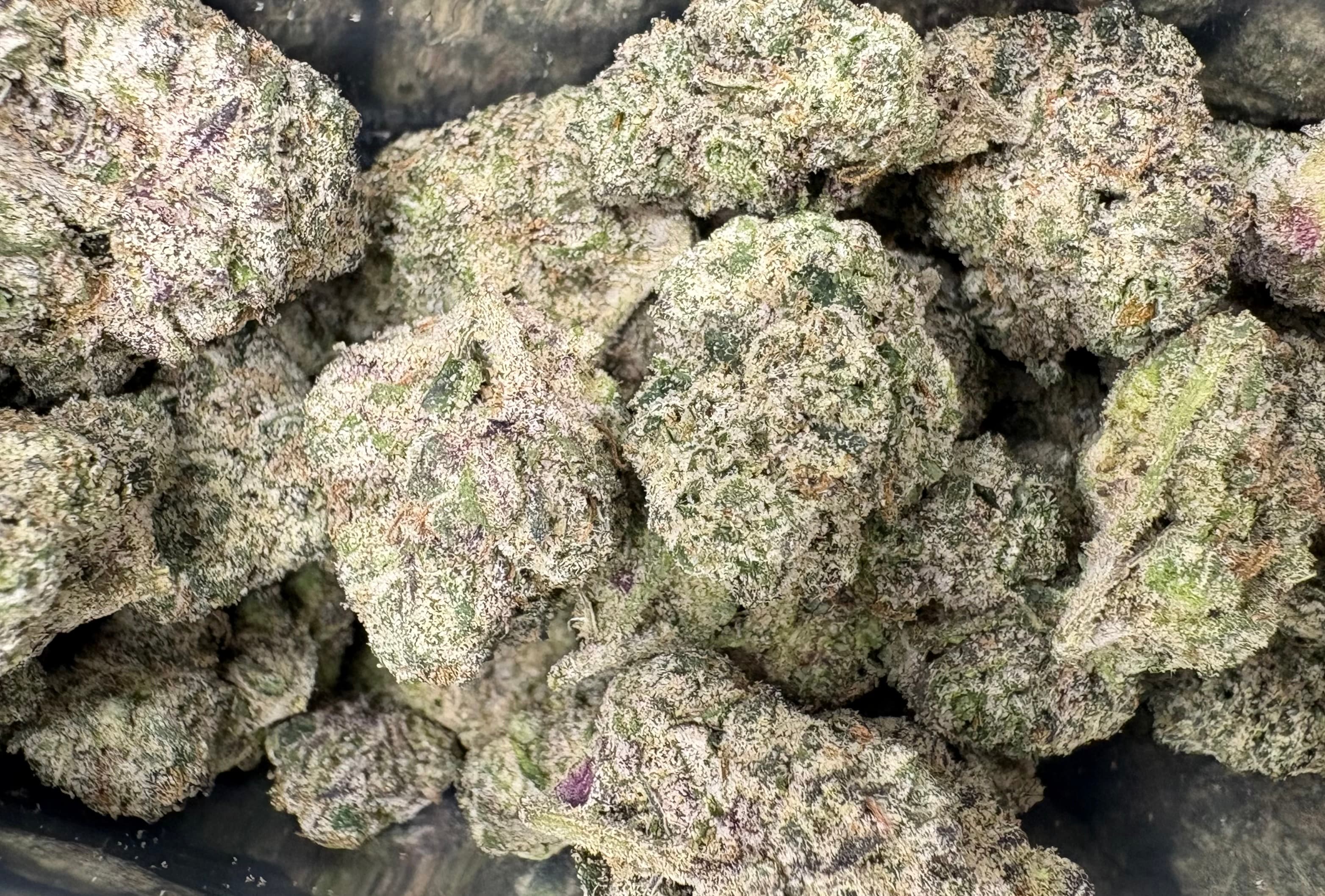 THCA Flower Image, partner with Bakeboxx Wholesale, High Quality Product Selection, Competitive Wholesale Pricing, Consistent, Reliable Supply, Exceptional Customer Support