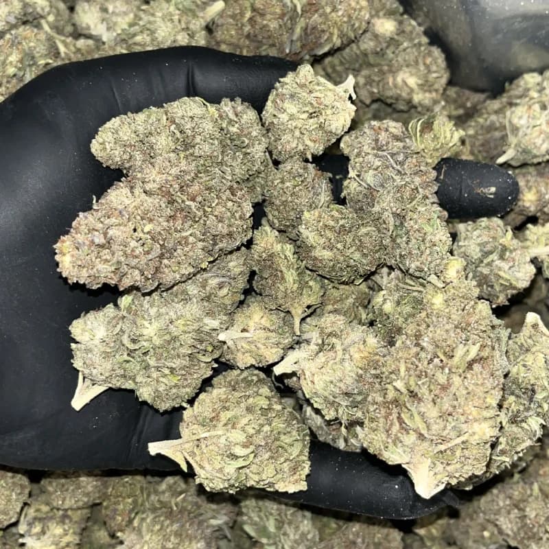 THCA Flower Image, Showing hemp flower, with cool colors, like purple and pink