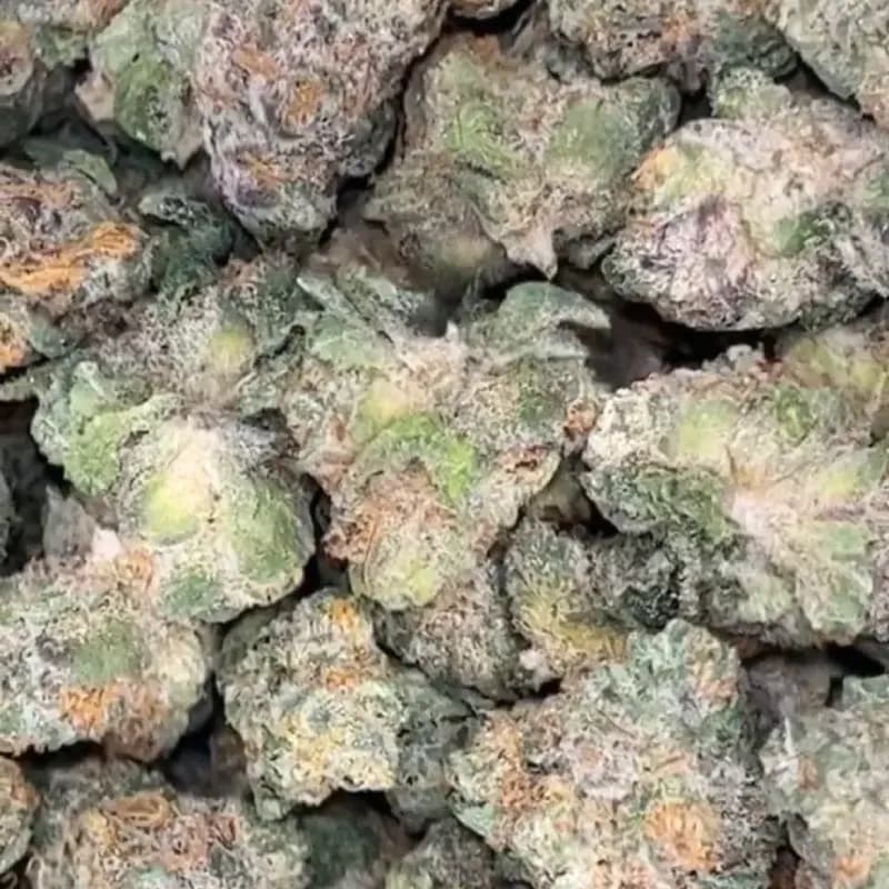 THCP Flower Image, Bakeboxx THCP Flower