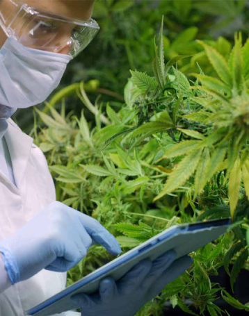 Lab-Tested, Verified Quality